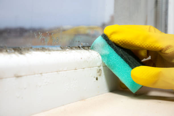 Certified Mold Removal in Mint Hill, NC